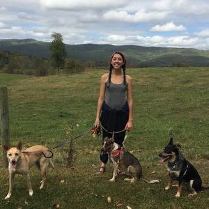 Meet your Posher, Amy